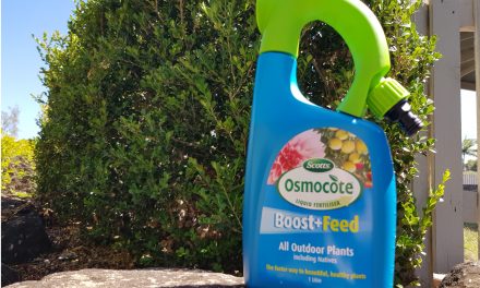 Scotts Osmocote Feed + Boost – Making A Brown Thumb Green